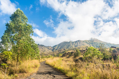 Road amidst field against sky