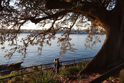 Scenic view of lake