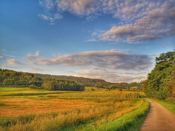 Scenic view of field against sky