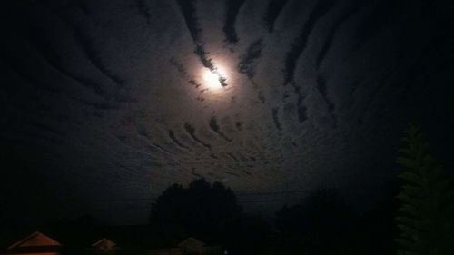 Silhouette of trees against sky at night