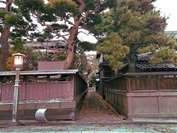 Footpath amidst trees and building