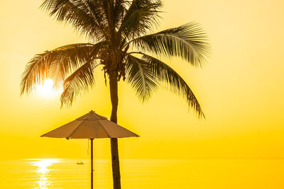 Palm tree by sea against sky during sunset