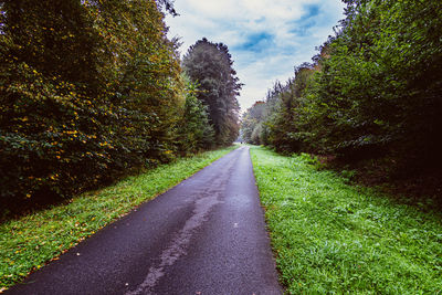 Road amidst trees against sky