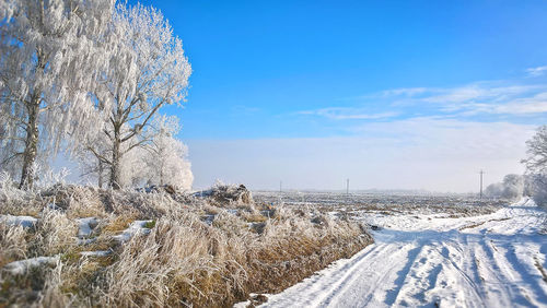 Close-up of snow covered landscape against blue sky