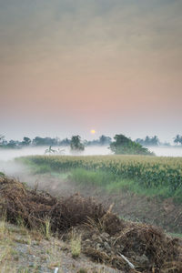 Scenic view of landscape against sky during foggy weather