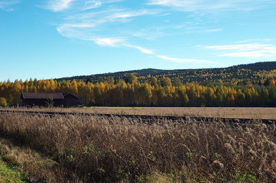 Scenic view of field against sky