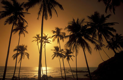 Silhouette palm trees against sky during sunset