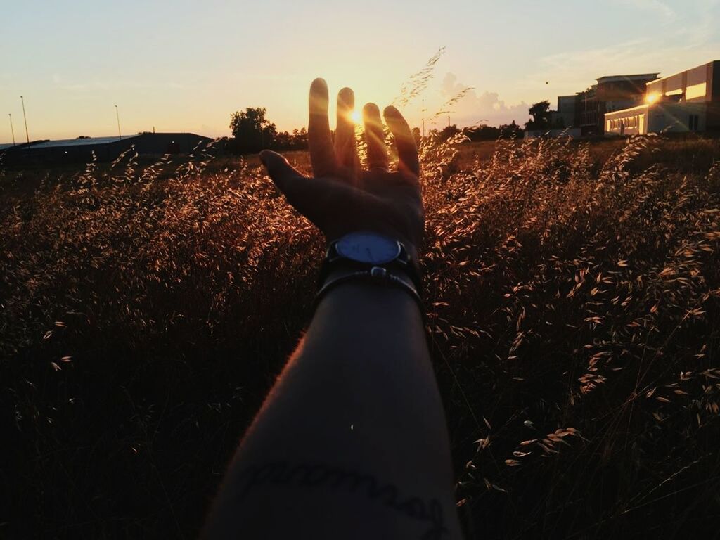 CLOSE-UP OF HANDS AGAINST SKY DURING SUNSET