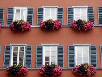 Low angle view of plants on windows of residential building