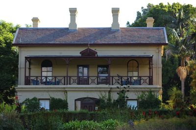 House against trees