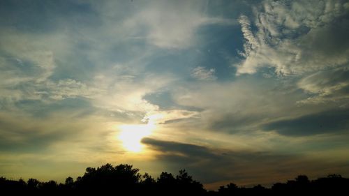 Low angle view of silhouette trees against sky during sunset