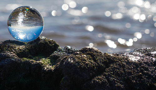 Close-up of crystal ball on rocks by sea