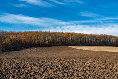 Surface level of road amidst trees on field against sky