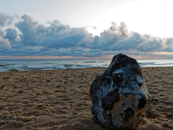 Close-up of driftwood on beach