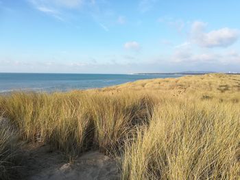 Scenic view of beach against sky