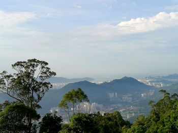 Trees and mountains against sky