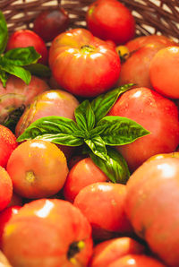 Full frame shot of tomatoes