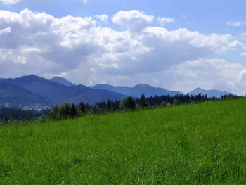 Scenic view of field against sky