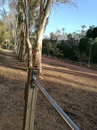 Trees by metal against sky