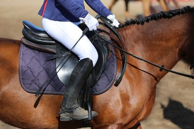 Low section of person riding horse