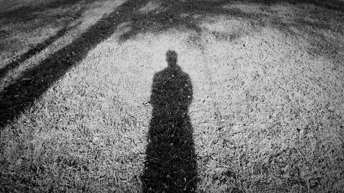Shadow of man on ground