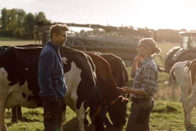 Farmers standing by cow and discussing at field on sunny day
