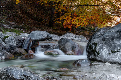 Stream flowing through rocks in forest