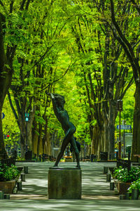 Statue of trees in city