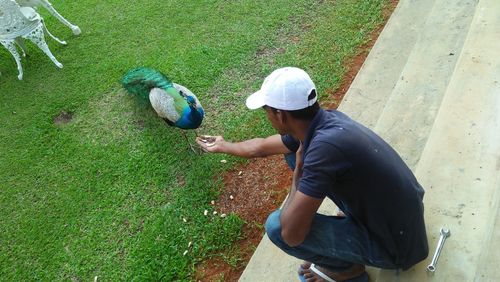 High angle view of man holding bird