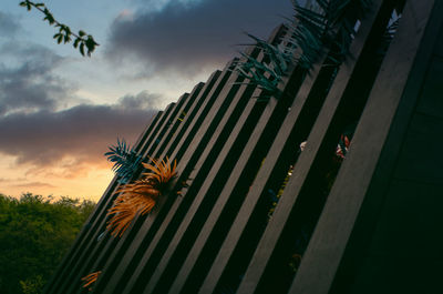 Low angle view of palm trees against sky