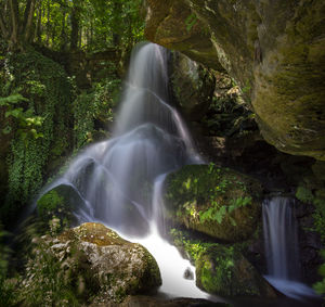 Scenic view of waterfall in forest