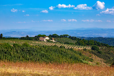 Scenic view of agricultural field against sky