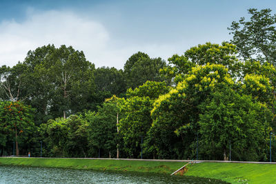 Scenic view of trees by lake against sky