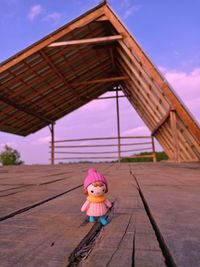 Girl with toy on wood against sky