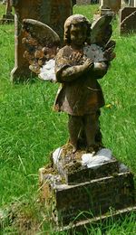 Plants growing on grassy field