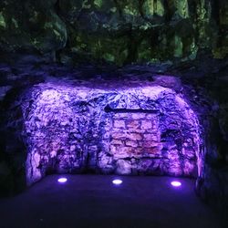 Illuminated tunnel amidst trees at night