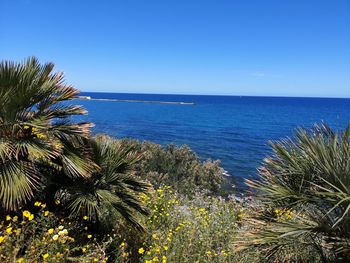 Scenic view of sea against clear blue sky