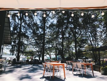 Empty chairs and tables against trees