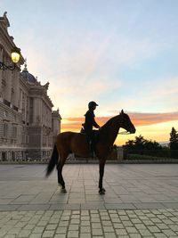 Side view of woman sitting on horse during sunset