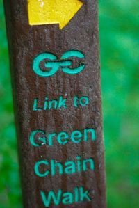 Close-up of text on tree trunk