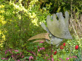 Close-up of cactus plants