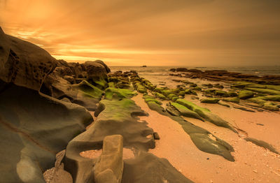 Scenic view of beach against sky during sunset