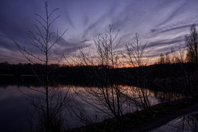 Silhouette plants by lake against sky at sunset