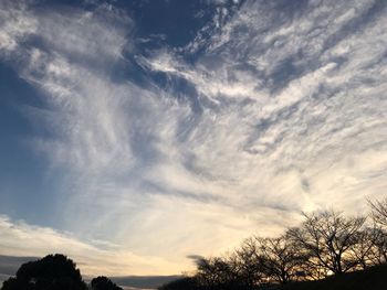 Low angle view of silhouette trees against sky