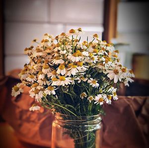 flowering plant