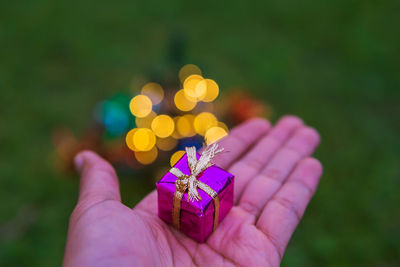 Close-up of hand holding purple flower