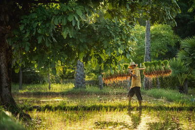 Man standing by trees in park