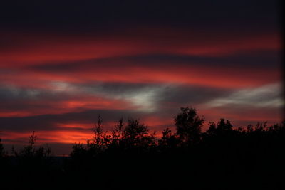 Silhouette trees against dramatic sky during sunset