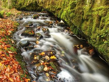 Stream flowing through rocks in forest