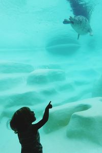 Silhouette girl pointing at animal swimming in aquarium